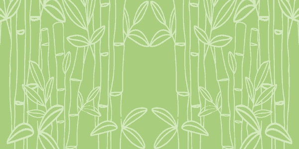 The Truth about Bamboo Disposable Packaging