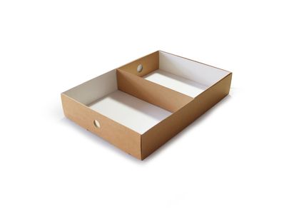 LargeInsert-4