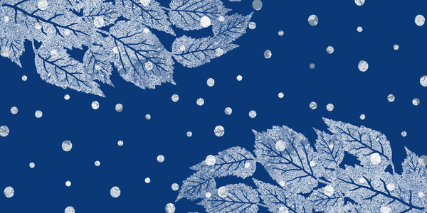 Christmas Deliveries & Opening Hours