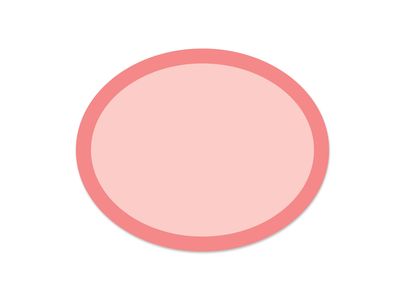 Rainbow Ovals Pink