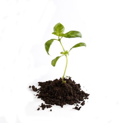 Composting 101