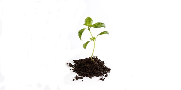 Composting 101