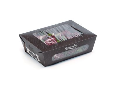 Salad Packaging Gastro Salad Pack Small 3