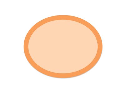 Rainbow Ovals Orange